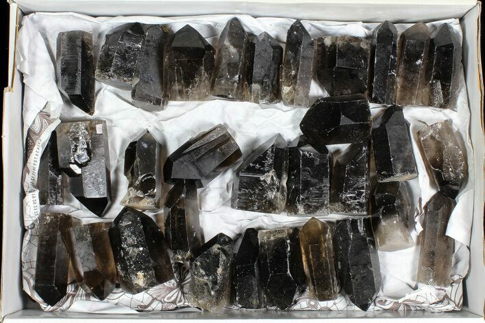 Lot: Lbs Cut base Smoky Quartz Crystals (-) - Brazil #77824